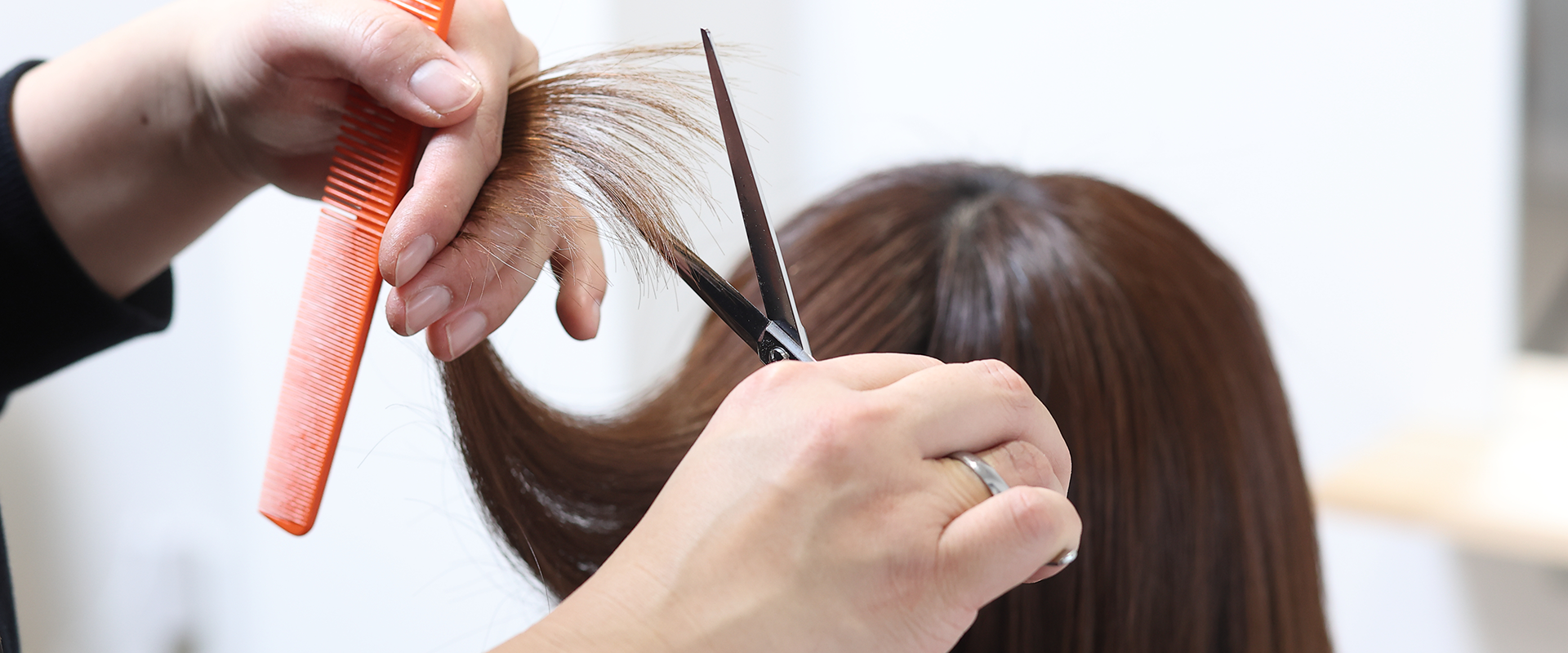 Chemin（シュマン）